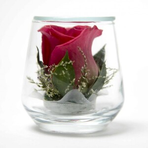 Cute - (Red Rose)