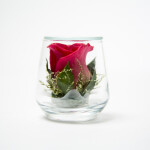 Cute - (Red Rose)