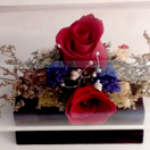 Anchor- Roses