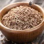 Cumin Seeds ( Jeera )