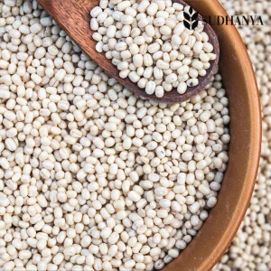 Urad Dal (Minapagullu)