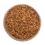 Cow Pea Red